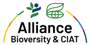 Alliance Bioversity & CIAT
